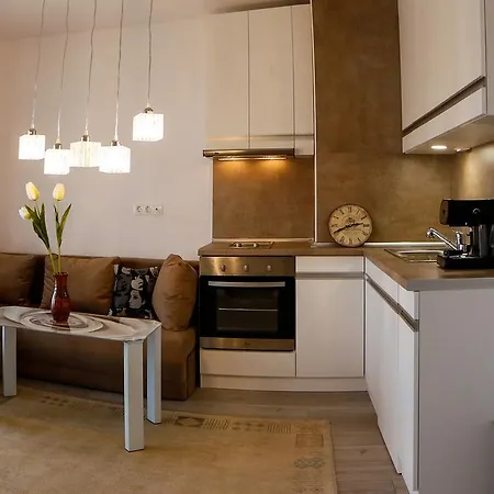 Twin House 3* Ognianowo