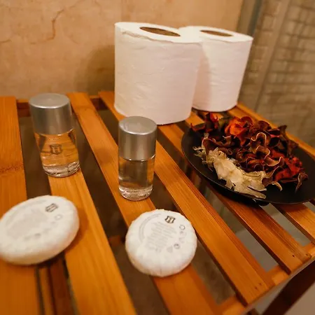 Twin House 3* Ognyanovo (Blagoevgrad)