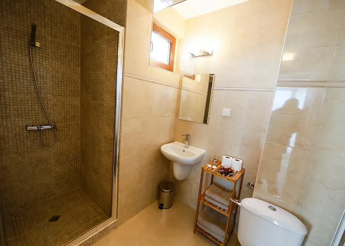 Guest house Twin House Ognyanovo (Blagoevgrad)